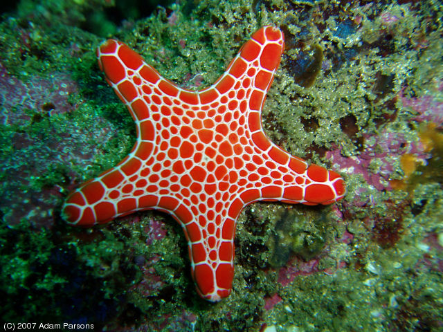 Shellharbour, 15-16 September 2007