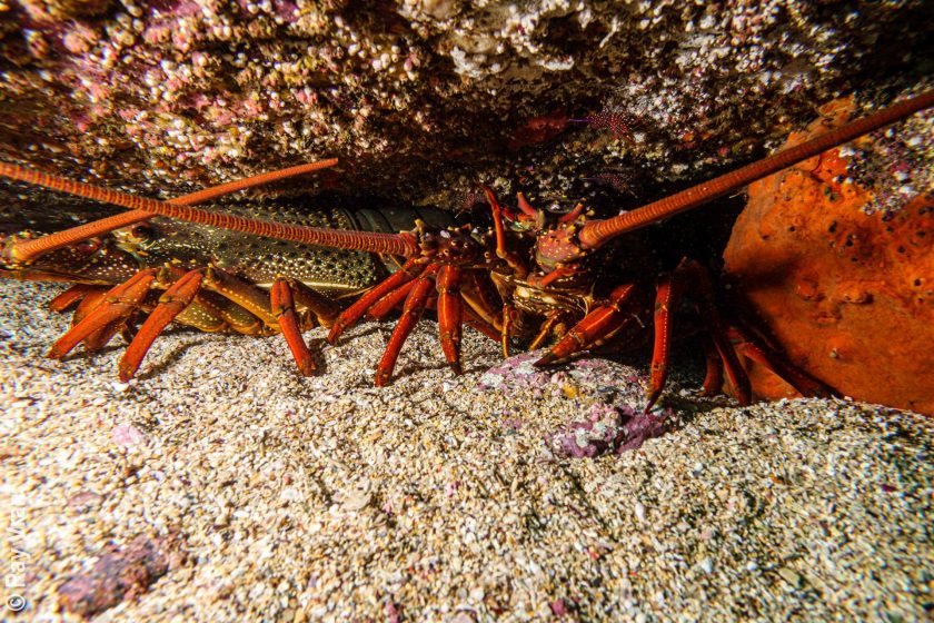 Batemans Bay – 14–15 November 2020