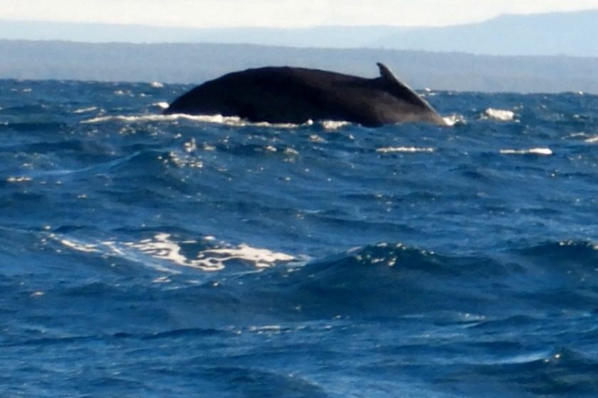 Queens Birthday – Jervis Bay – 12-14 June 2021