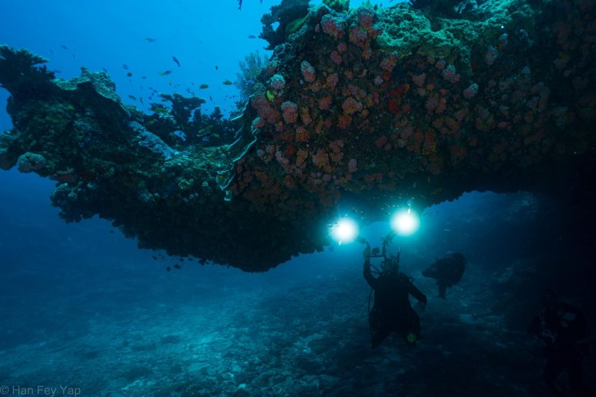 Lady Musgrave Island – 1-17 July 2023