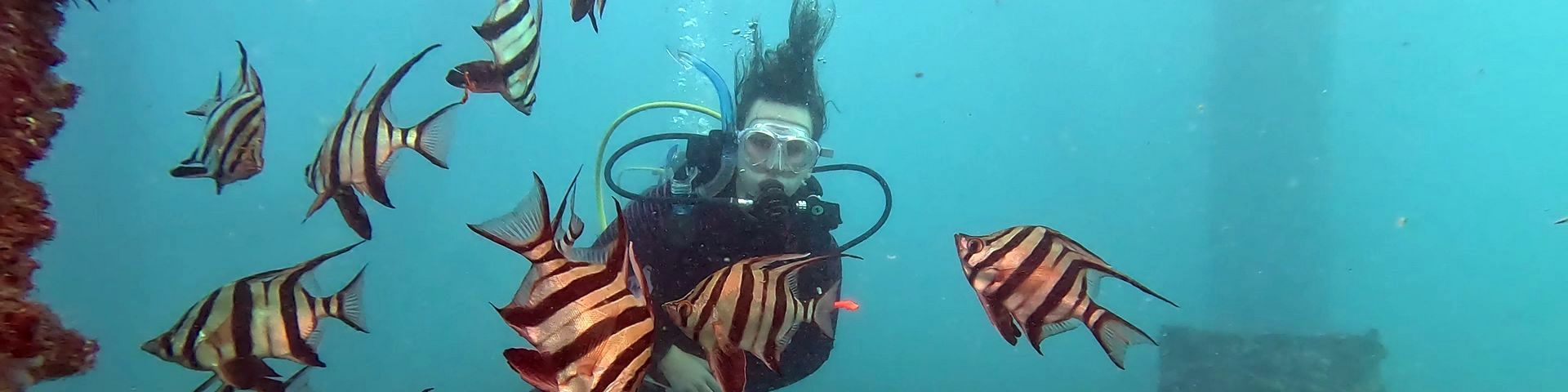 ANU Scuba Club