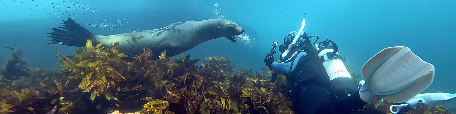 ANU Scuba Club