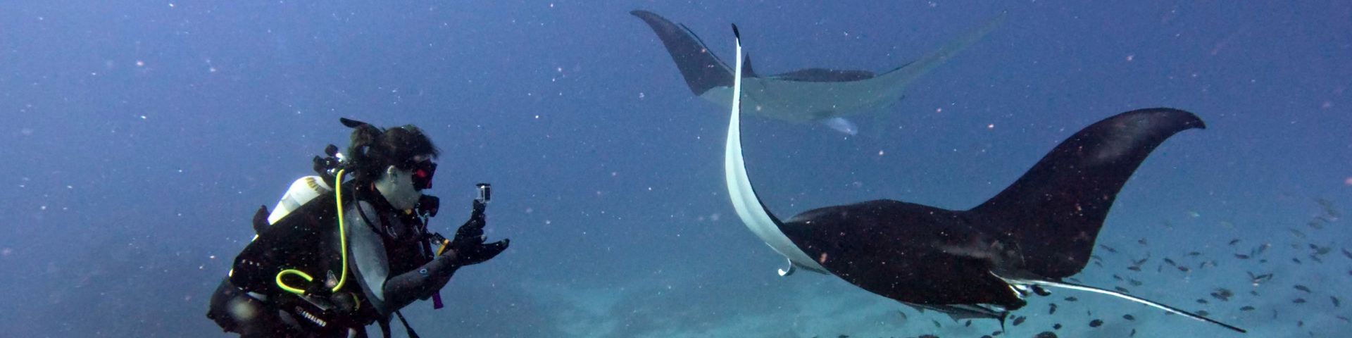 ANU Scuba Club